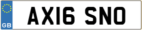 Truck License Plate